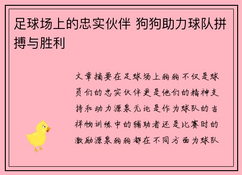 足球场上的忠实伙伴 狗狗助力球队拼搏与胜利