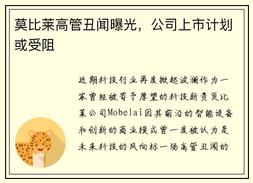 莫比莱高管丑闻曝光，公司上市计划或受阻